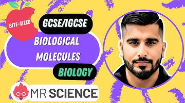 Biological Molecules | Bite-sized | GCSE | IGCSE Biology | Mr Science in 8K