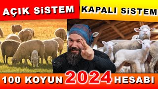 100 KOYUN ALINIR MI?  2024 (Koyunculuk)