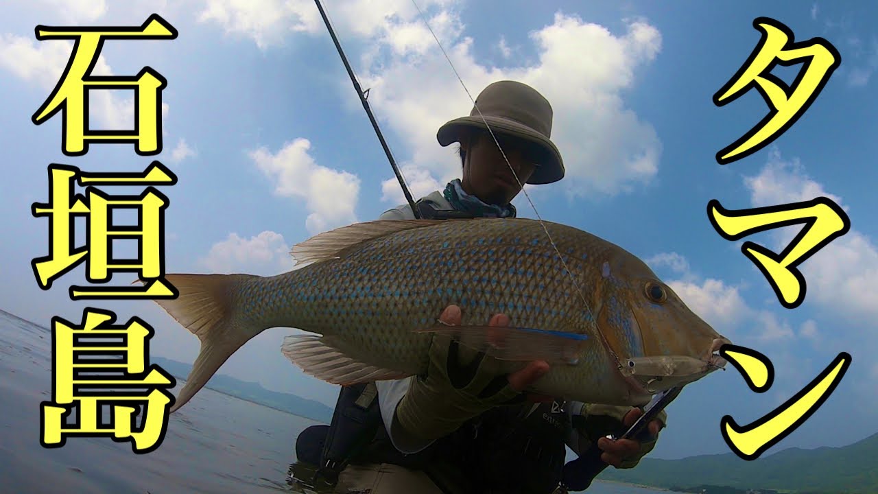 タマン トップウオーターに出た 沖縄ルアー Youtube