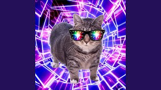 OIIA TECHNO CAT - Bemax