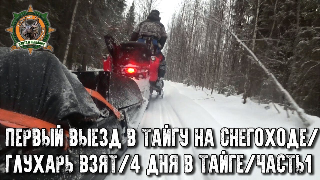 4 дня на машине