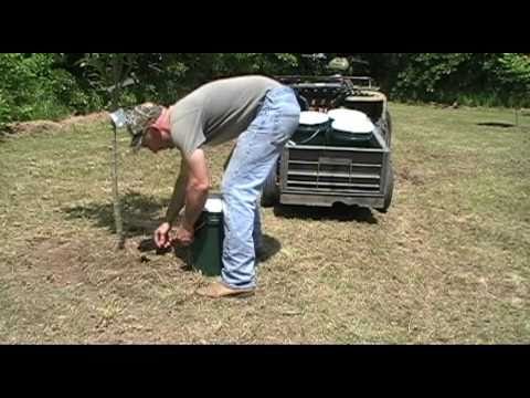Tree I V Root Feeder 3 12 Tutorial Youtube