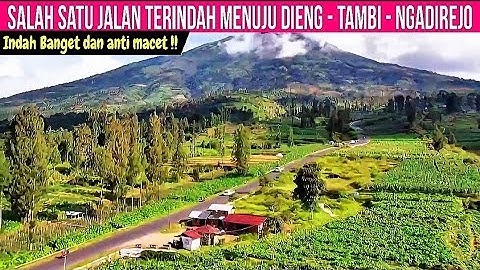JALAN ALTERNATIF TERINDAH MENUJU DIENG VIA KEBUN TEH TAMBI - NGADIREJO TEMANGGUNG | Road Trip Dieng