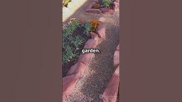Garden Planning for Beginners in 45 Seconds  #gardeningideas #gardeningtips #gardentipsandtricks