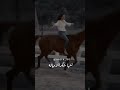     أغنيه بين العصر والمغرب نجومي