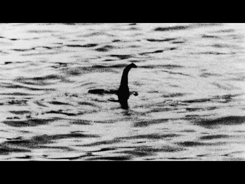 Hundreds join search for the Loch Ness Monster