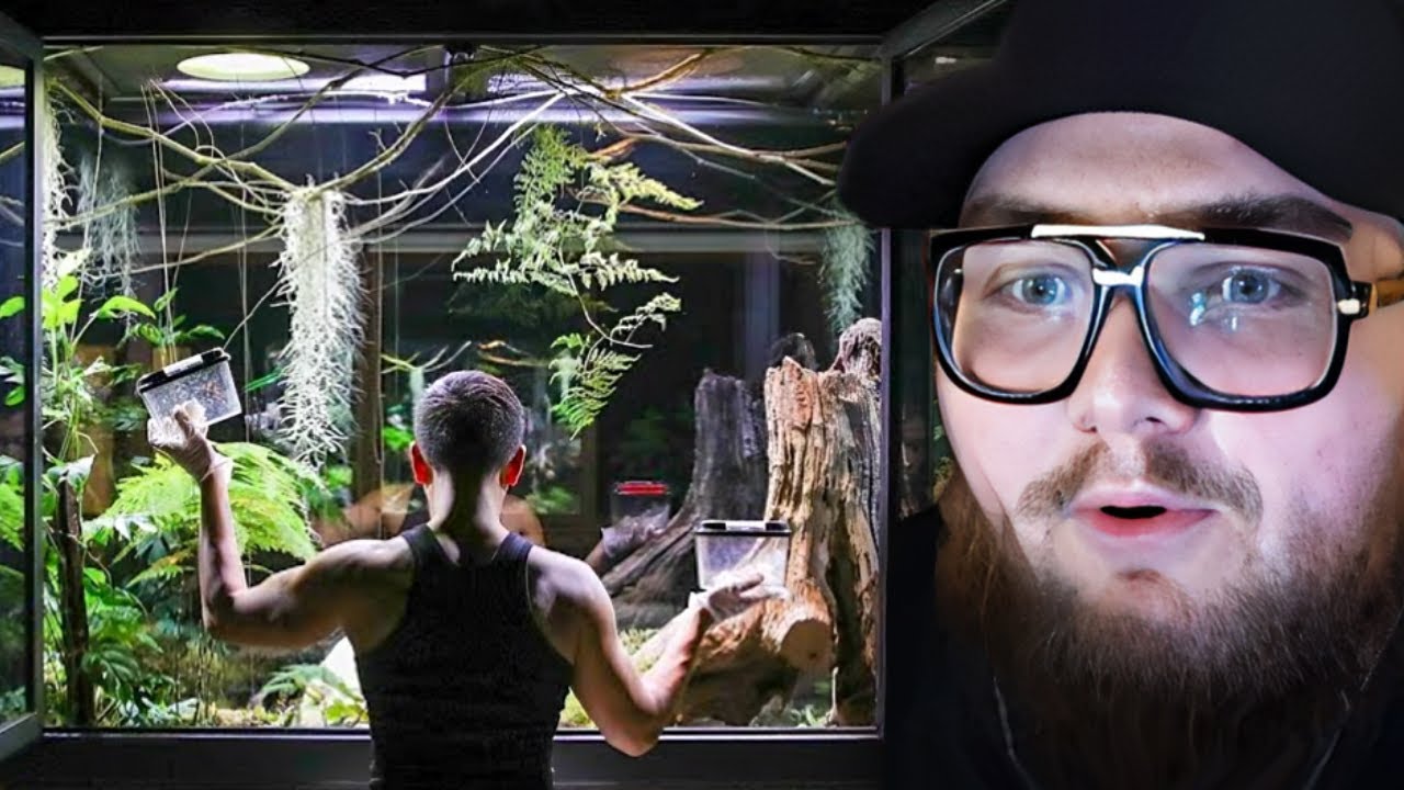 FattyPillow Reaguje na Největší Uzavřený Ekosystém