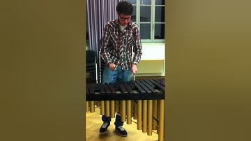 Insomnia & Show me Love auf Marimba (Ausschnitte)