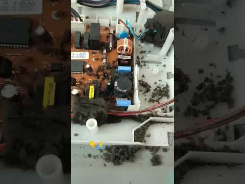 موش زدگی و اتصالی برد   ترند