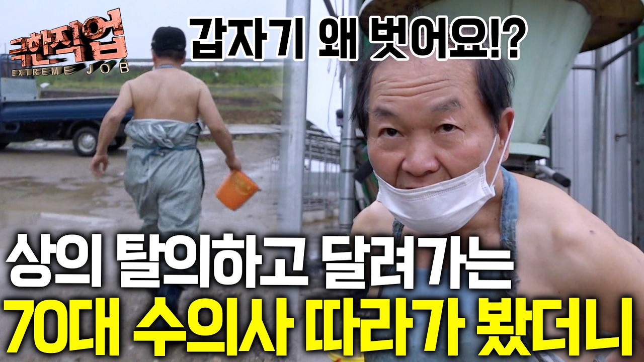 "옷을 벗어야 진료가 가능하단 말이야" 응급 현장에 오자마자 상의를 벗더니 70대 수의사가 달려간 이유|극한직업