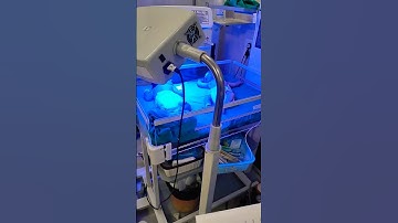 Newborn Baby Treatment for Jaundice ||