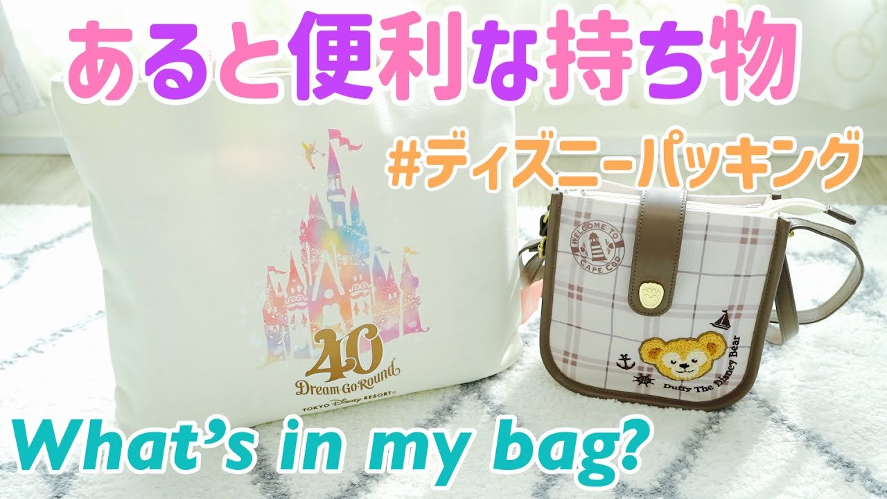 年パス歴12年がおすすめ！秋冬ディズニーにあると便利な持ち物♩〜What's in my bag?〜バッグの中身紹介