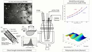 Process Analytical Technology (PAT) for Rapid Decision Making