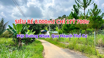 🔴(617) Siêu Rẻ 8.000m2 Mặt Tiền Đường Nhựa, QH Thổ Cư | Bất Động Sản Bảo Lộc