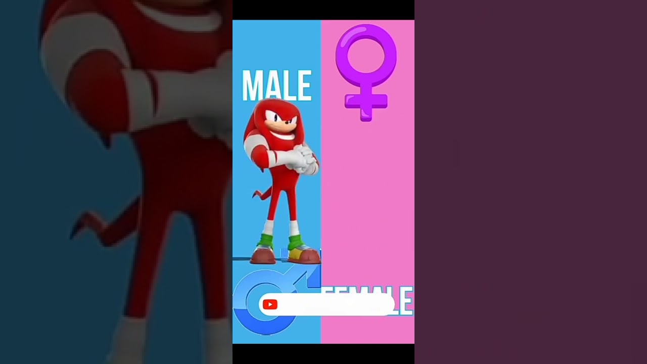Sonic Characters Gender Swap edit..