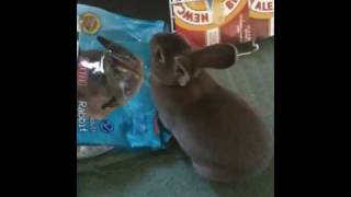 Miles being a fatty