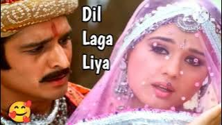 I have felt my heart / It's your heart / Preeti and Arjun Rampal / Alka Yagnik and Udit Narayan