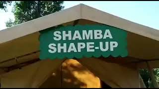 Agrifor Citizen Tv Shamba Shape Up   Avocadoes Preview