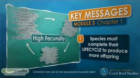 Fish and People (video series) - Module 3