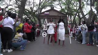 Lambda Omicron Chapter Delta Sigma Theta Probate #25 clip #1