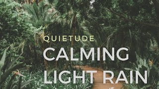 Calming Forest Light Rain - for Releaving Stress