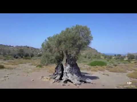 Hiking Eleonas Aegina