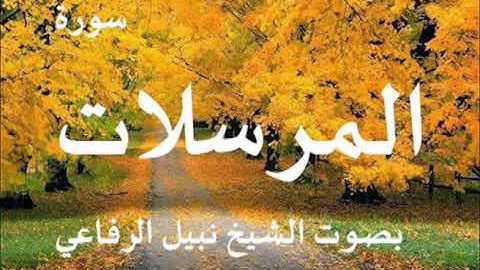 077  سورة المرسلات الشيخ نبيل الرفاعي