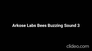 Arkose Labs Bees Buzzing Sound 3