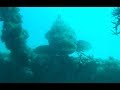 Goliath Grouper Steals Our Dinner...TWICE!