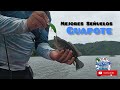 Pesca de Guapotes- Mejores señuelos, Costa Rica 🇨🇷