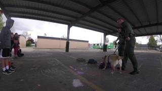 School Sheriff K9 Demo (Sponsored by ObediBites.com, The Ultimate Dog Training Treat)