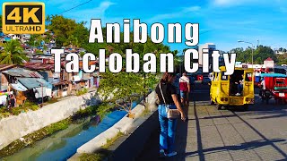 Walking Tour 4K | Anibong, Tacloban City Leyte | Julanders