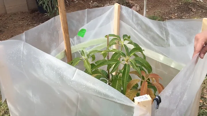 How To FROST Protect!