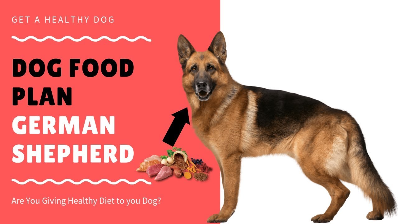 German Shepherd Veg Diet Chart