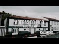 Adegas do Pico | Places to Stay | Azores Top 10 Things To Do