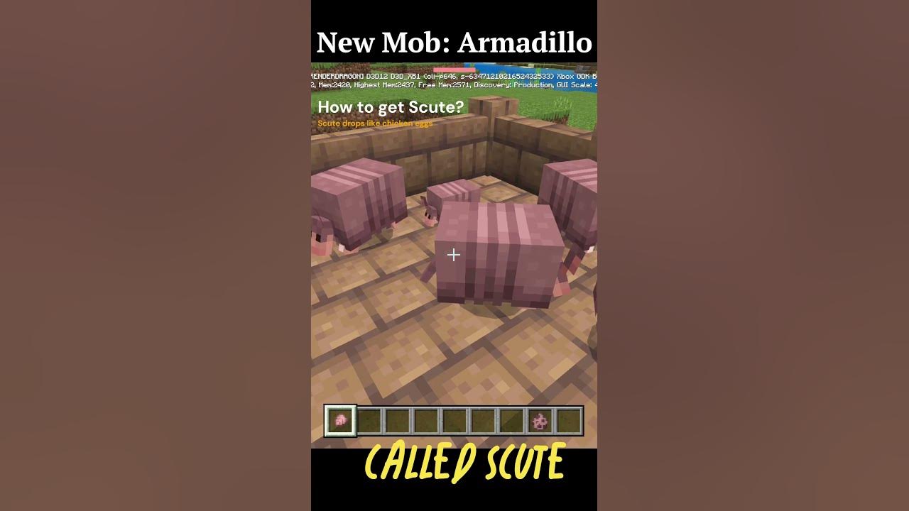 Minecraft ARMADILLOS Are Here How To Get Scute For Wolf Armor shorts minecraft-armadillos-are-here-how-to-get-scute-for-wolf-armor-shorts