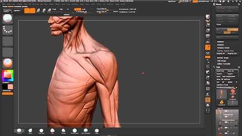 ZBrush tutorial: Anatomy sculpt - adding viens