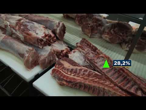 Embarques de carne suína e de frango crescem em maio | Canal Rural