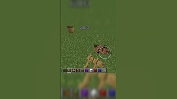 Make real Balloon in Minecraft #minecraft #shorts