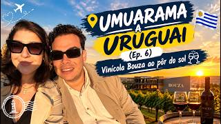 Montevidéu Apaixonante: Vinícola Bouza e o Jeito Uruguaio de Viver | Ep. 06