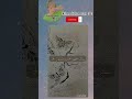 تبين تكوني زي كده