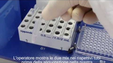 epMotion 5070 PCR e qPCR