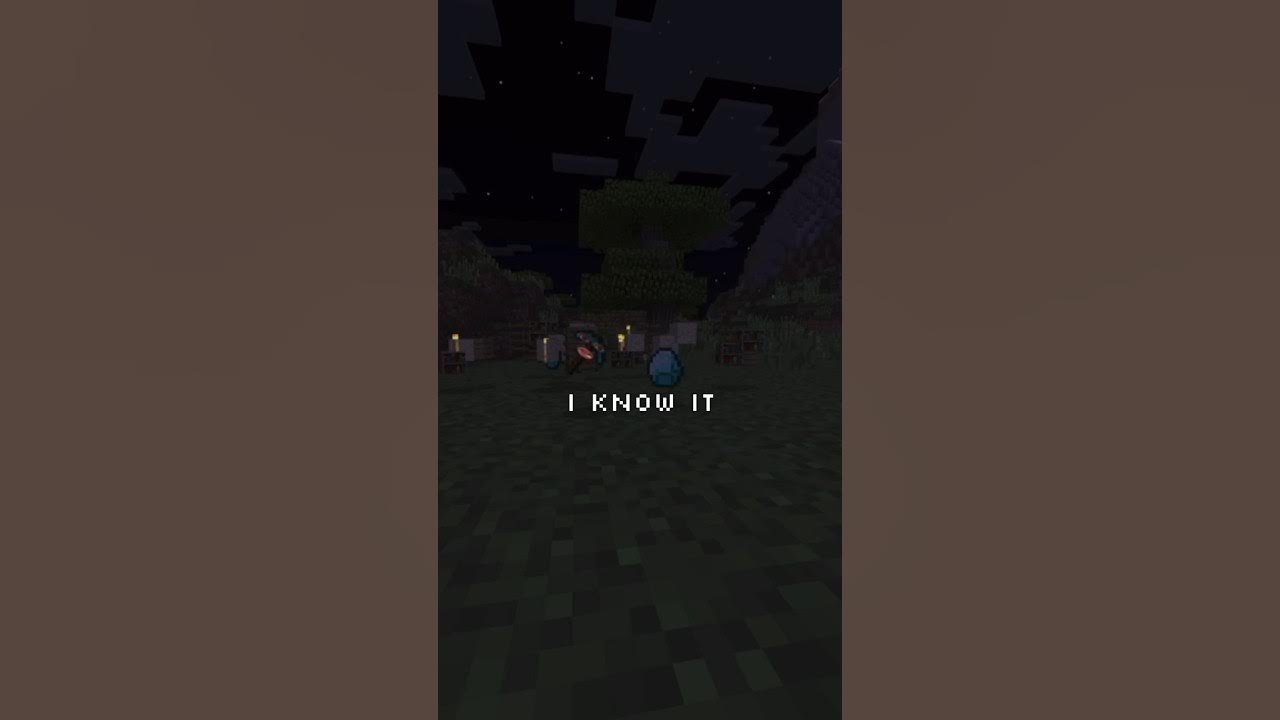 When items despawn on Minecraft. minecraft minecraftshorts 