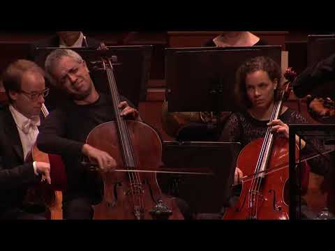 Giovanni Sollima, "Cello Concerto No. 2 in D major" by Franz Joseph Haydn