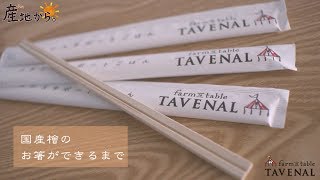 【TAVENAL】国産檜のお箸が出来るまで