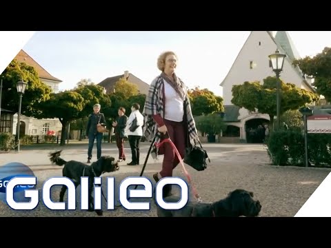 10 Fragen an eine Inkasso-Unternehmerin | Galileo | ProSieben