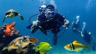 First Time Scuba Diving, Beautiful Experience || Phi Phi Island Thailand 🇹🇭🏝️🏝️