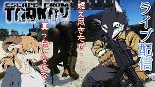 【EFT】学びのアルコフPVE Live配信 #eft #EscapefromTarkov #ケモノ系Vtuber #Vtuber