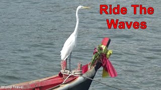 Egret rides the waves on a small fishing boat.