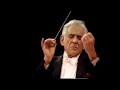 Miniature de la vidéo de la chanson Symphony No. 1: Ii. Poco Adagio